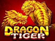 Dragon Tiger PM