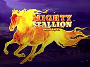 Mighty Stallion