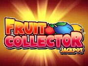 fruit collector gokkast